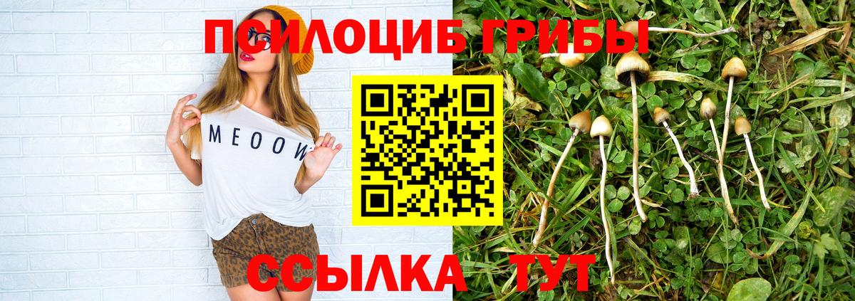 Псилоцибиновые грибы MAGIC MUSHROOMS Волгодонск
