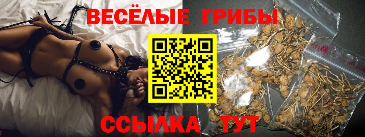Волгодонск  Галлюциногенные грибы мухоморы  наркота  Вход с VPN 
